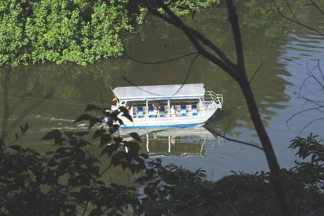Cape Tribulation Day Tour from Cairns - The crocodile cruise brings the river to life