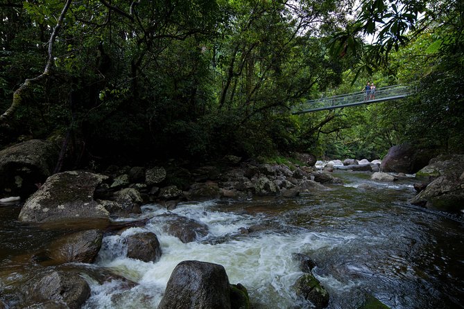Cape Tribulation, Mossman Gorge and Daintree Rainforest Day Tour - Key points to know before booking