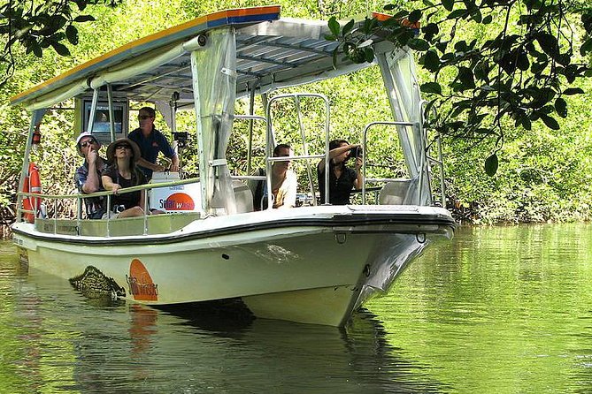 Cape Tribulation, Mossman Gorge and Daintree Rainforest Day Tour - Mossman Gorge brings the first real rainforest walk