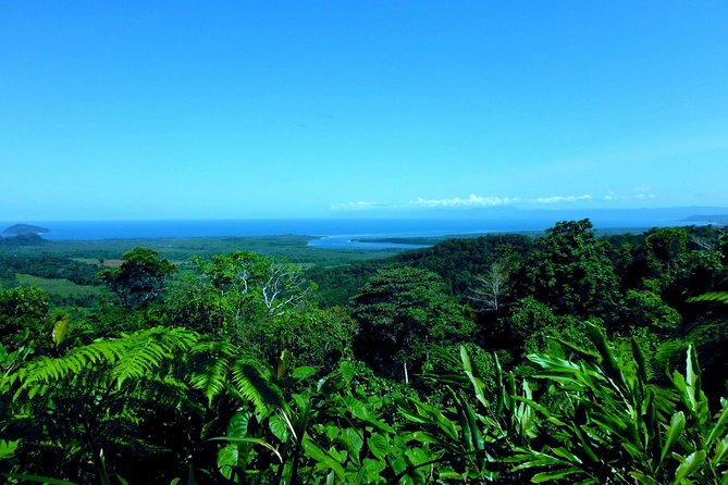 Cape Tribulation, Mossman Gorge and Daintree Rainforest Day Tour - Lunch at the Daintree Tea House is more than a fuel stop