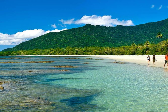 Cape Tribulation, Mossman Gorge and Daintree Rainforest Day Tour - Alexandra Lookout gives you a final wide view