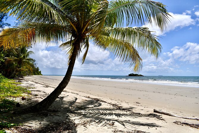 Cape Tribulation, Mossman Gorge, and Daintree Rainforest Day Trip - Cape Tribulation Beach: where the forest reaches the reef