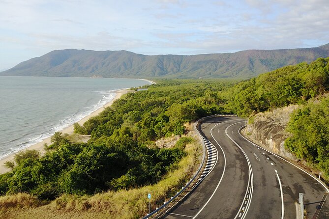 Cape Tribulation, Mossman Gorge, and Daintree Rainforest Day Trip - What the $164.25 price really covers