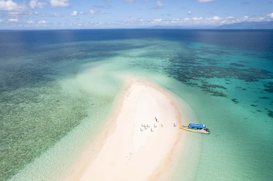 Cape Tribulation Ocean Safari - Great Barrier Reef Adventure - Key details that shape the day