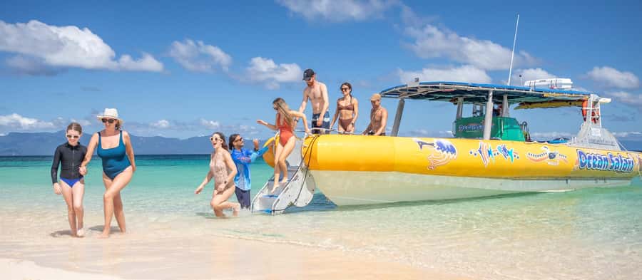 Cape Tribulation Ocean Safari - Great Barrier Reef Adventure - Should you book Ocean Safari at Cape Tribulation?