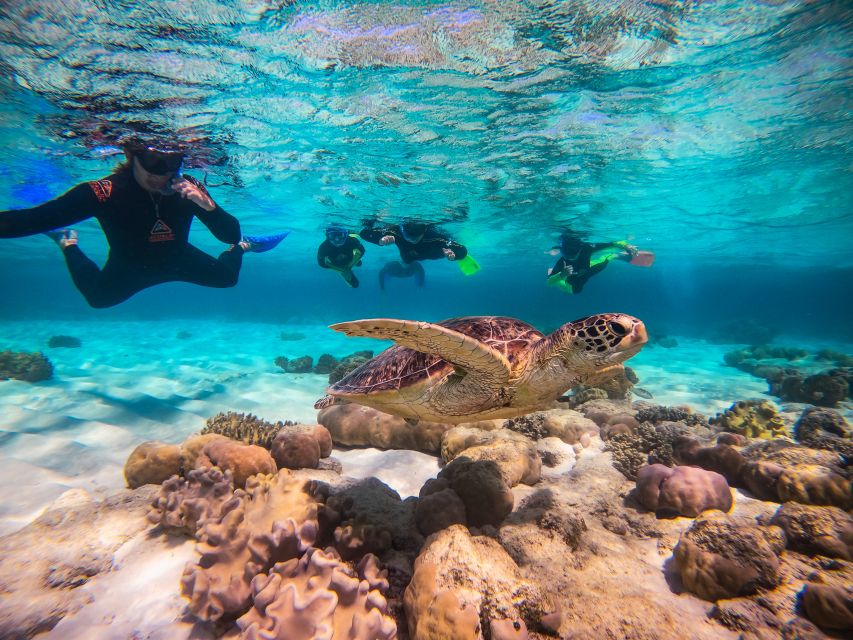 Cape Tribulation Ocean Safari - Great Barrier Reef Adventure - What the small boat changes