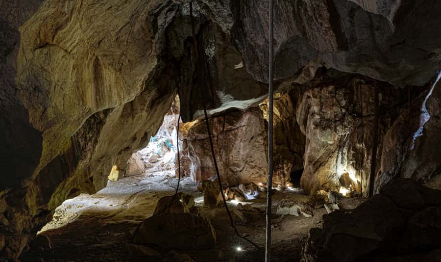 Capricorn Caves, Australia: 45-Minute Cathedral Cave Tour - Stories of explorers, stone, plants, and bats