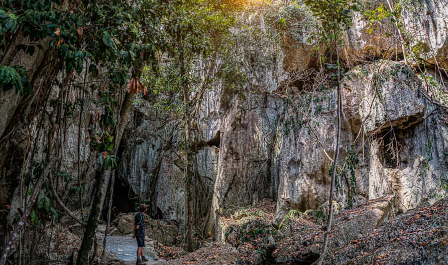 Capricorn Caves, Australia: 45-Minute Cathedral Cave Tour - How this compares with a longer cave visit
