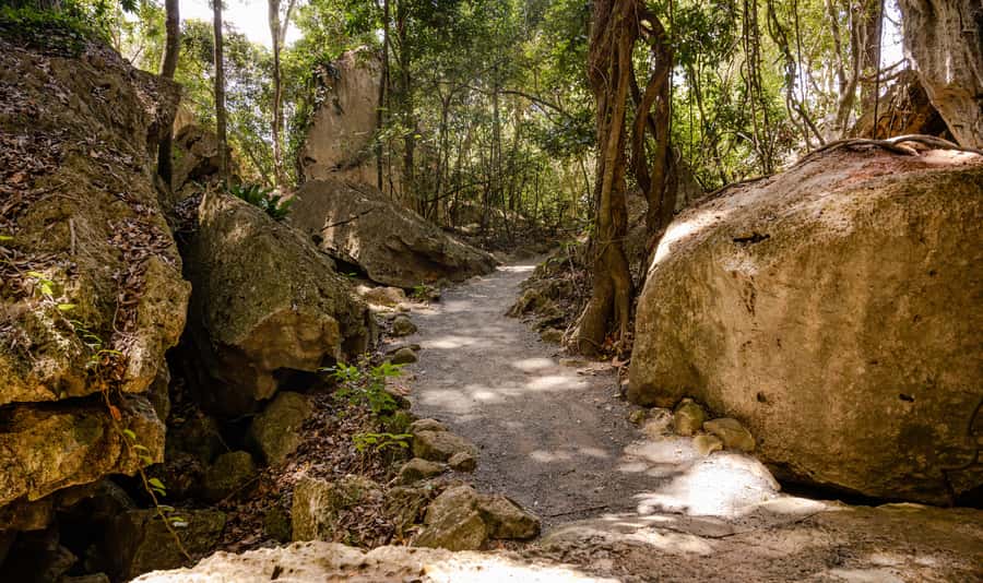 Capricorn Caves, Australia: 45-Minute Cathedral Cave Tour - Following the zig-zag passage