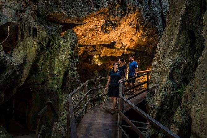 Capricorn Caves Cathedral Cave Tour - Why Cathedral Cave is worth the stop