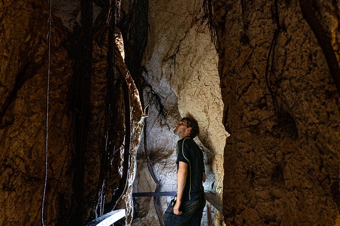 Capricorn Caves Cathedral Cave Tour - A short tour with a useful rhythm