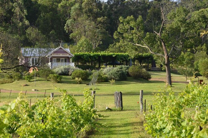 Chef-Led Hunter Valley Gourmet Food and Wine Day Tour from Sydney - Breaking the drive at the Hawkesbury River