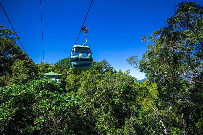 Classic Kuranda by Skyrail and Scenic Railway, Rainforestation & lunch. CKB - Skyrail over the ancient canopy