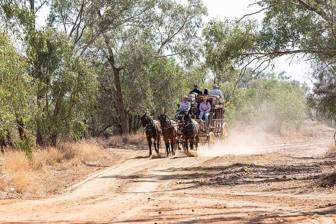 Cobb & Co Stagecoach Experience in Longreach - Riding the Longreach to Windorah mail route