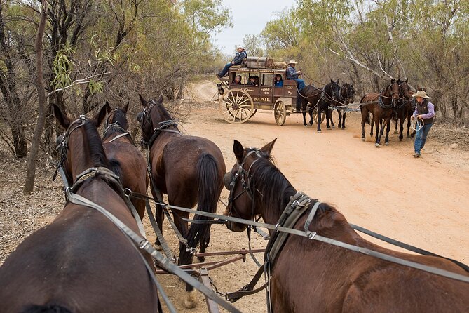 Cobb & Co Stagecoach Experience in Longreach - A canvas-seat bush movie at The Station Store