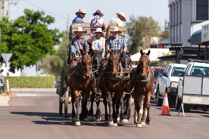 Cobb & Co Stagecoach Experience in Longreach - What the $118.35 price really buys you