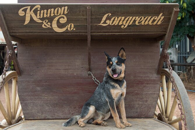 Cobb & Co Stagecoach Experience in Longreach - Who will enjoy this Longreach experience