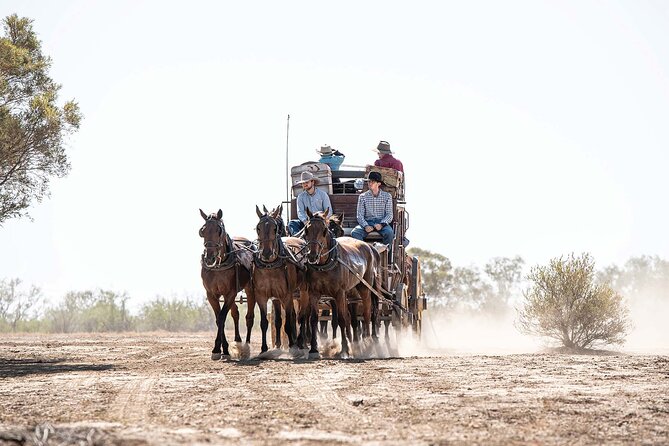 Cobb & Co Stagecoach Experience in Longreach - Smoko with scones, jam, cream, and tea