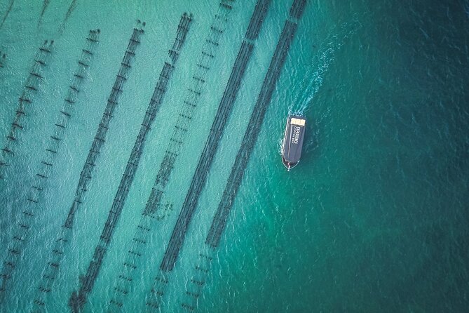 Coffin Bay Day Tour - A Taste of Coffin Bay - Key points to know before booking
