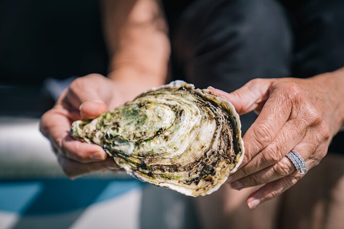 Coffin Bay Day Tour - A Taste of Coffin Bay - Comfort, timing, and what to clarify