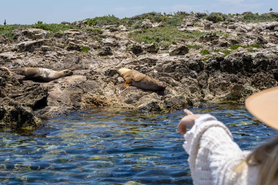 Coffin Bay: Oyster Farm Boat Tour with Wading & 12 Oysters - Who will enjoy this Coffin Bay tour?