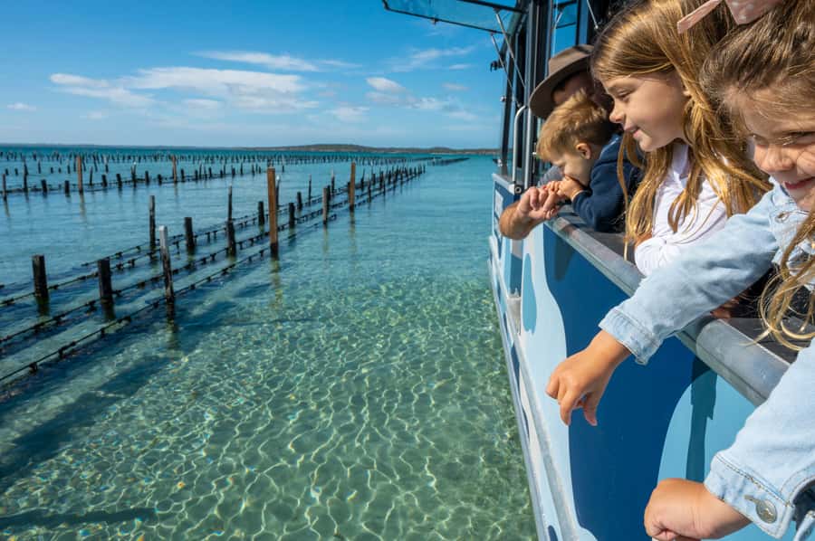 Coffin Bay: Oyster Farm Boat Tour with Wading & 12 Oysters - Twelve freshly shucked oysters on board