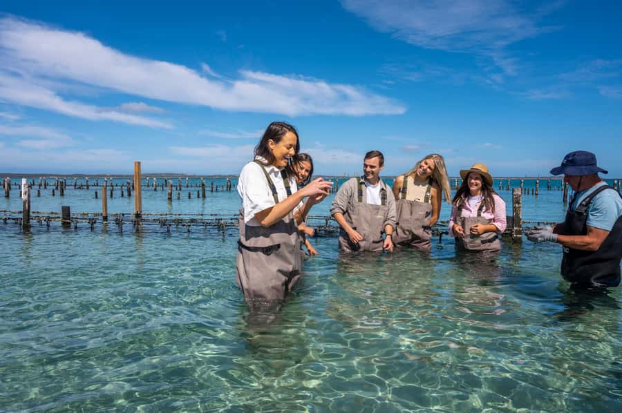 Coffin Bay: Oyster Farm Boat Tour with Wading & 12 Oysters - Is $130 good value?