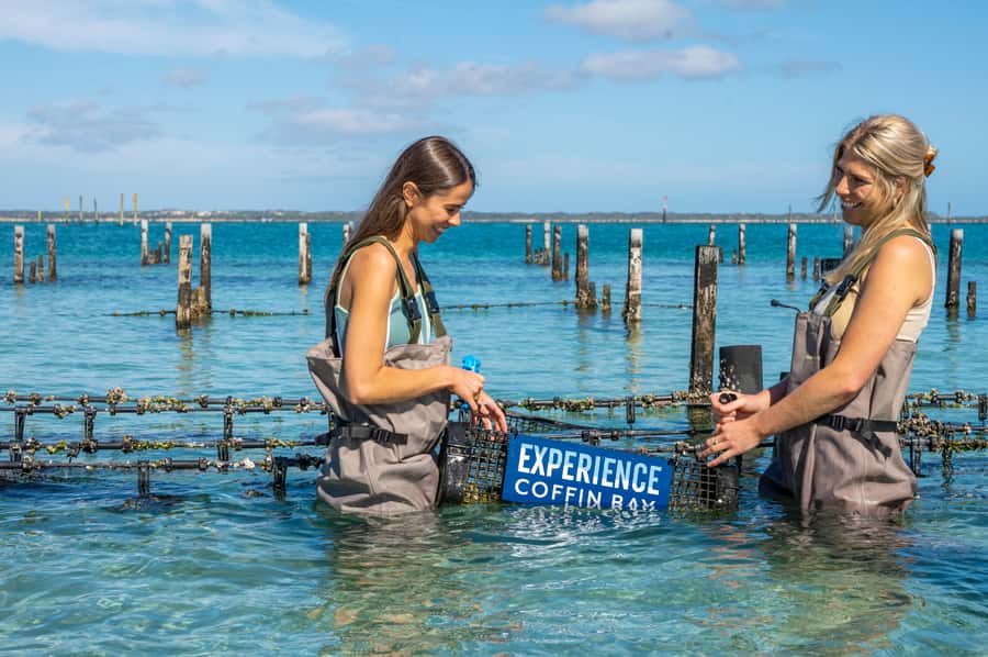 Coffin Bay: Oyster Farm Boat Tour with Wading & 12 Oysters - What to bring for a comfortable three hours