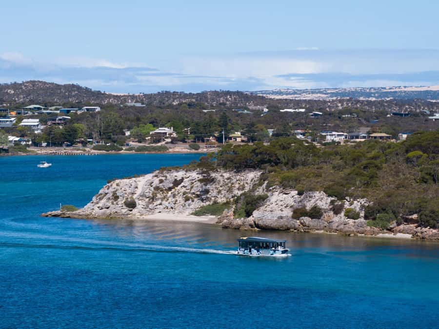 Coffin Bay: Short and Sweet Oyster Farm Tour - Six fresh oysters and Coffin Bay views