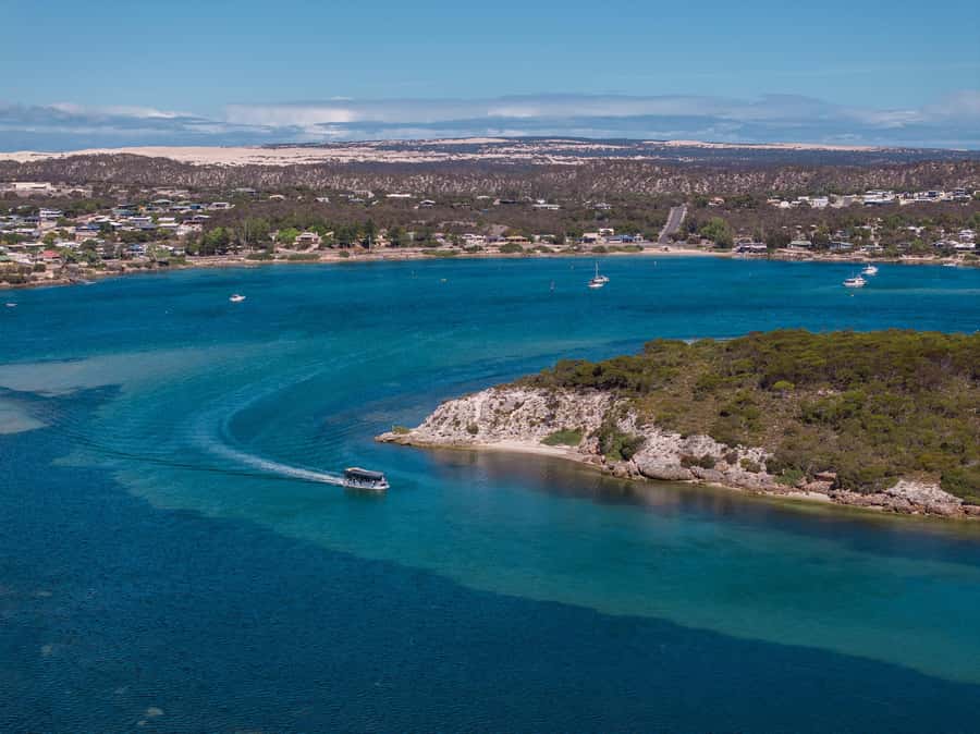 Coffin Bay: Short and Sweet Oyster Farm Tour - Why the Angasi oyster program matters