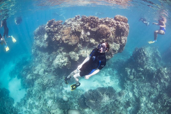 Coral Bay 2-Hour Coral Viewing and Snorkeling - Is $133 fair for two hours?