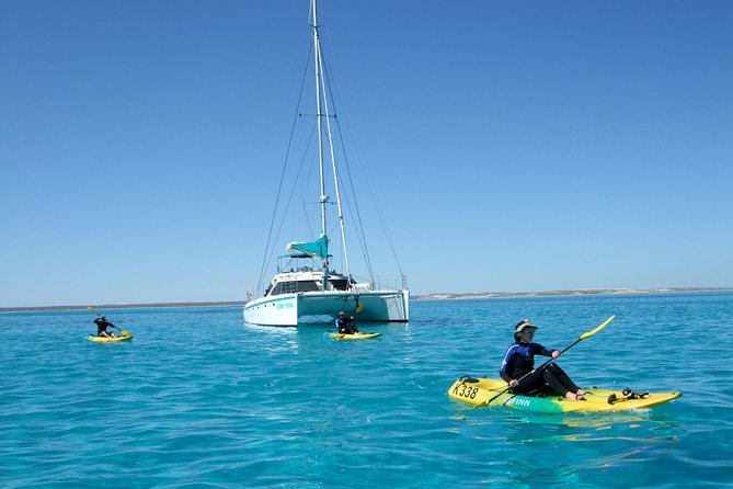 Coral Bay 2-Hour Coral Viewing and Snorkeling - Timing, weather, and cancellation details