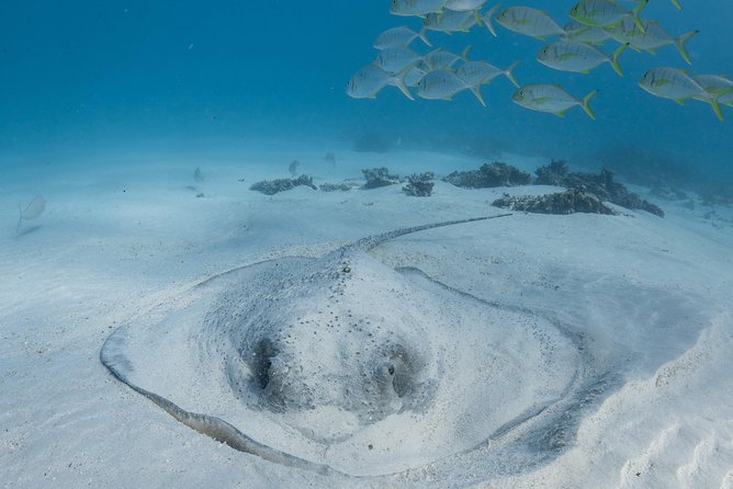 Coral Bay 3-Hour Turtle Ecotour - Practical details for a smoother morning or afternoon