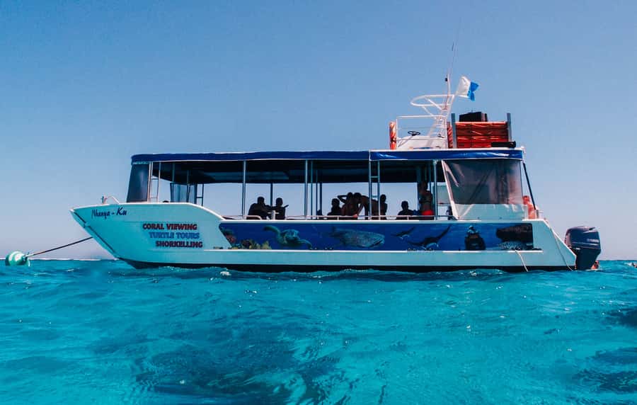 Coral Bay Glass-Bottom Boat Tour - Seeing Ningaloo Reef without getting wet