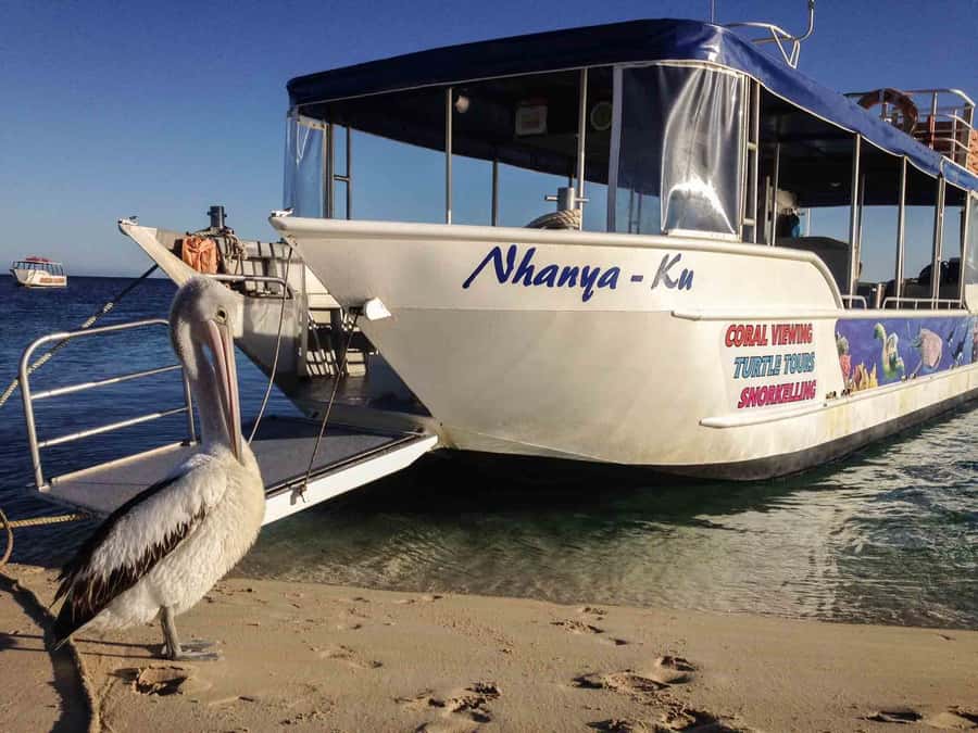 Coral Bay Glass-Bottom Boat Tour - The walk from 30 Robinson Street to the beach