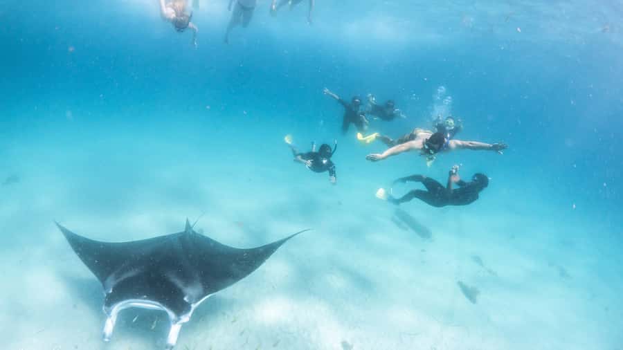 Coral Bay: Marine Eco Safari - Swim With Manta Rays - The first reef session at Bills Bay