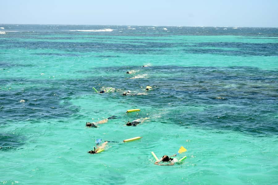 Coral Bay: Ningaloo Reef 3-Hour Turtle Ecotour - Two reef stops, two different ways to snorkel