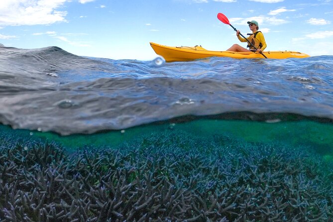 Coral By Kayak - Ningaloo Reef Half Day Kayak & Snorkel Tour - Key points to know before booking