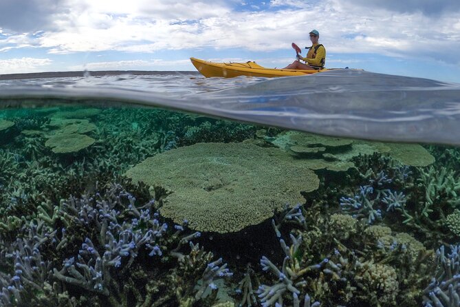 Coral By Kayak - Ningaloo Reef Half Day Kayak & Snorkel Tour - Paddling across the reef to the sanctuary zone