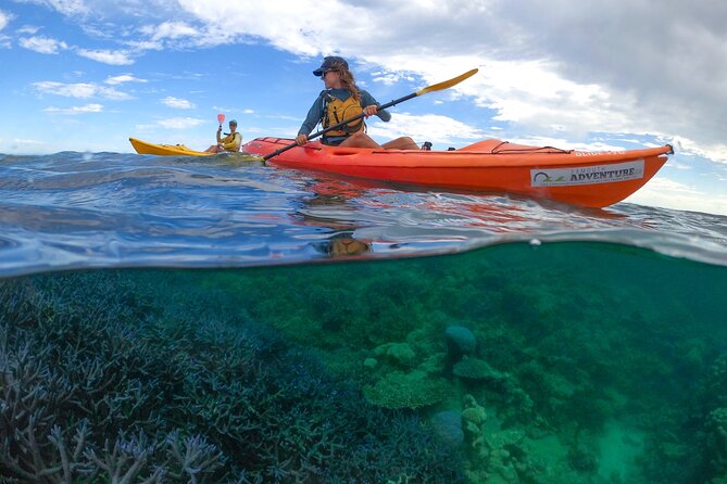 Coral By Kayak - Ningaloo Reef Half Day Kayak & Snorkel Tour - What the guide adds to the morning or afternoon