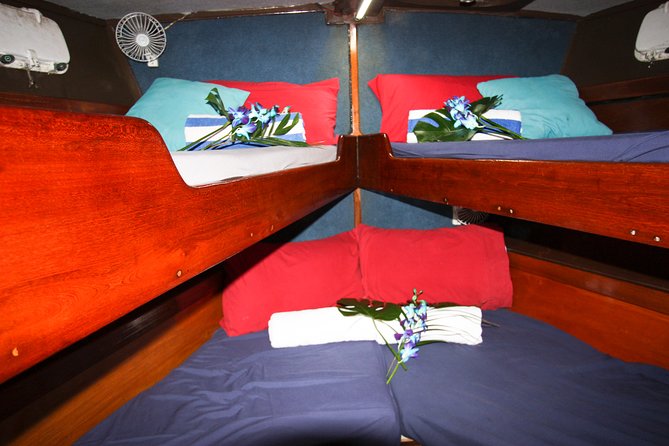 Coral Sea Dreaming Overnight Dive, Snorkel and Sail - Who will get the most from Coral Sea Dreaming