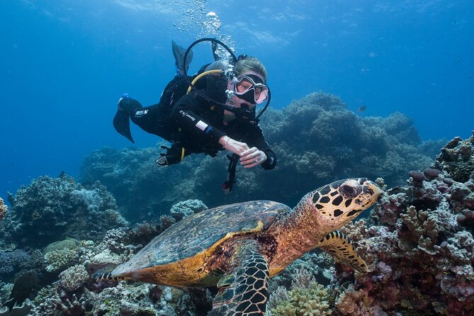 Coral Sea Dreaming Overnight Dive, Snorkel and Sail - The overnight stay and boat life