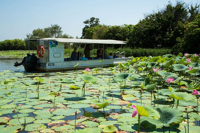Corroboree Billabong Wetland Cruises - 1.5 hour Morning cruise - Is $53.79 a Fair Price?