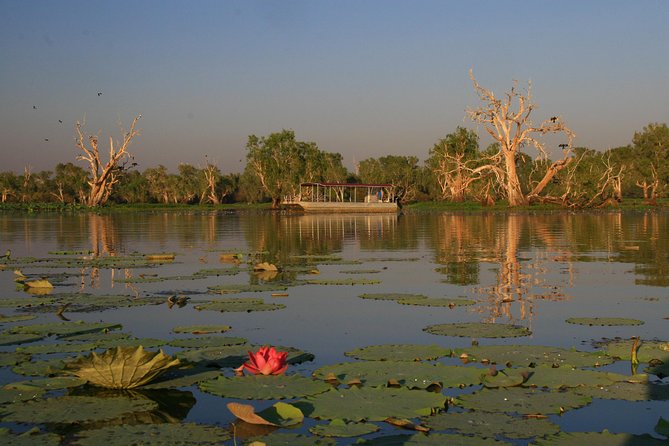 Corroboree Billabong Wetland Cruises - 2 hour Sunset Cruise - Why the 4:30 pm departure works