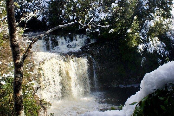 Cradle Mountain Day Tour from Launceston Including Lunch - Four hours in Cradle Mountain National Park