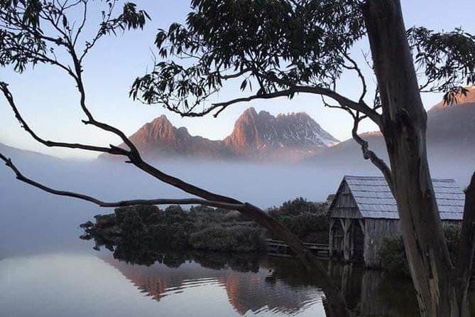 Cradle Mountain Day Tour from Launceston Including Lunch - What the driver-guide adds