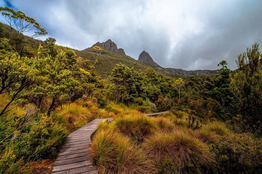 Cradle Mountain: Day Trip from Launceston with Lunch - Key points at a glance