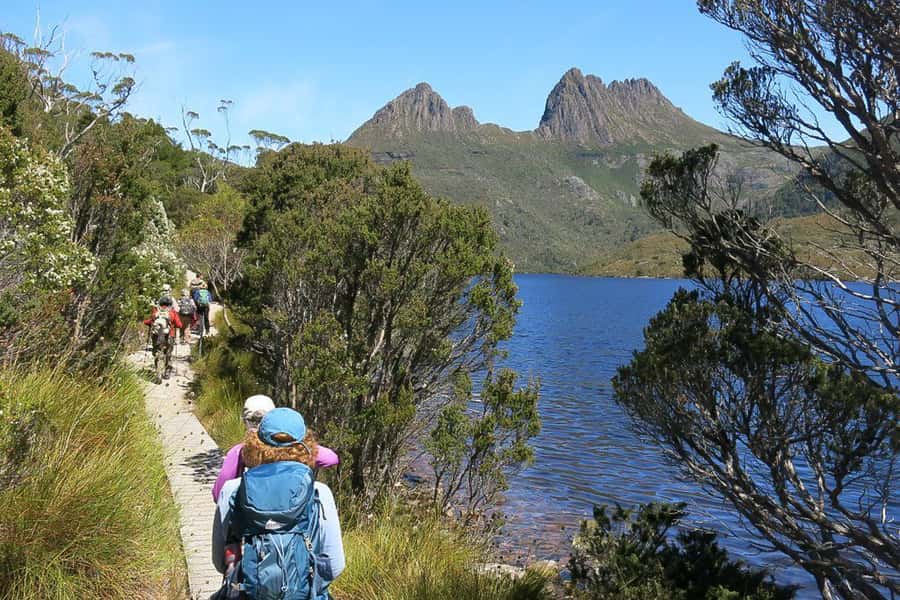 Cradle Mountain: Day Trip from Launceston with Lunch - The road into Cradle Mountain