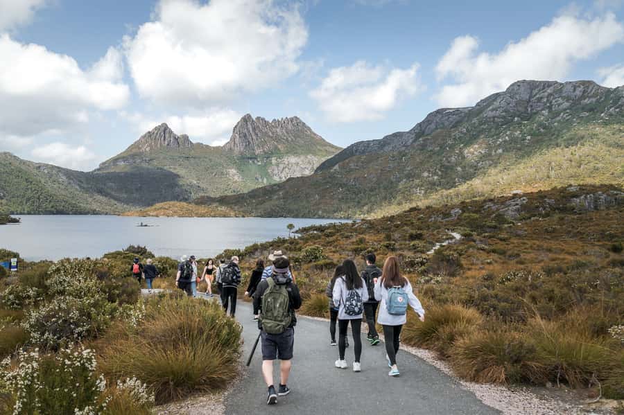 Cradle Mountain National Park by Coach from Launceston - Sheffield’s murals make a useful stop