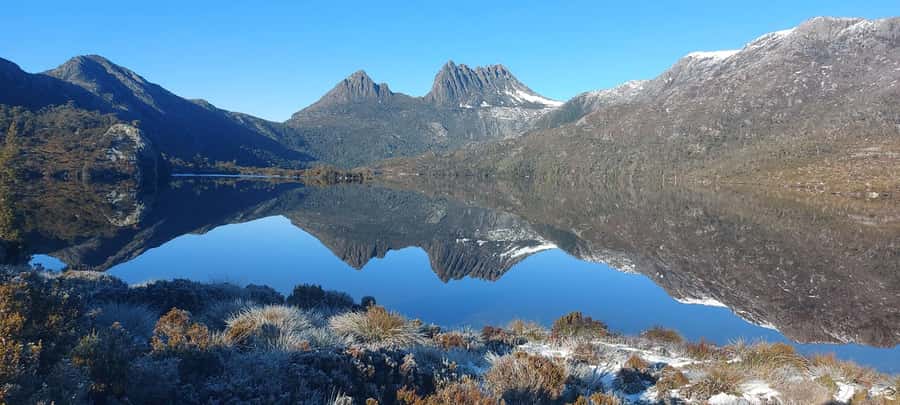 Cradle Mountain National Park by Coach from Launceston - The Enchanted Forest keeps walking easy
